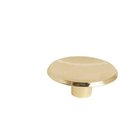 Anvil Mark 1-3/4 in. Polish Brass Cabinet Knob, 5PK 2492407